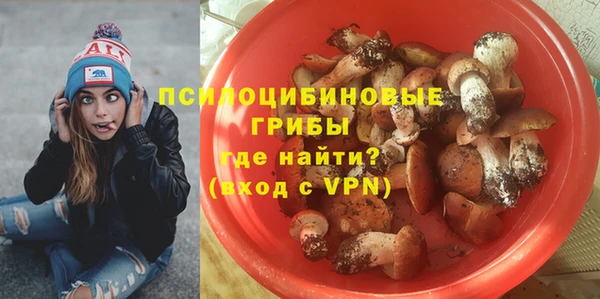 apvp Майский