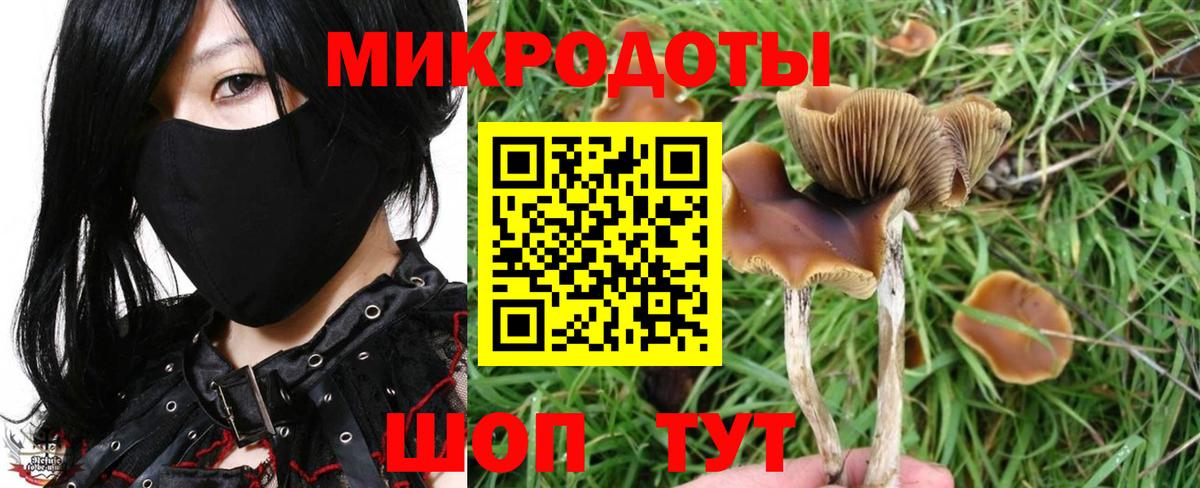 Псилоцибиновые грибы ЛСД Красногорск