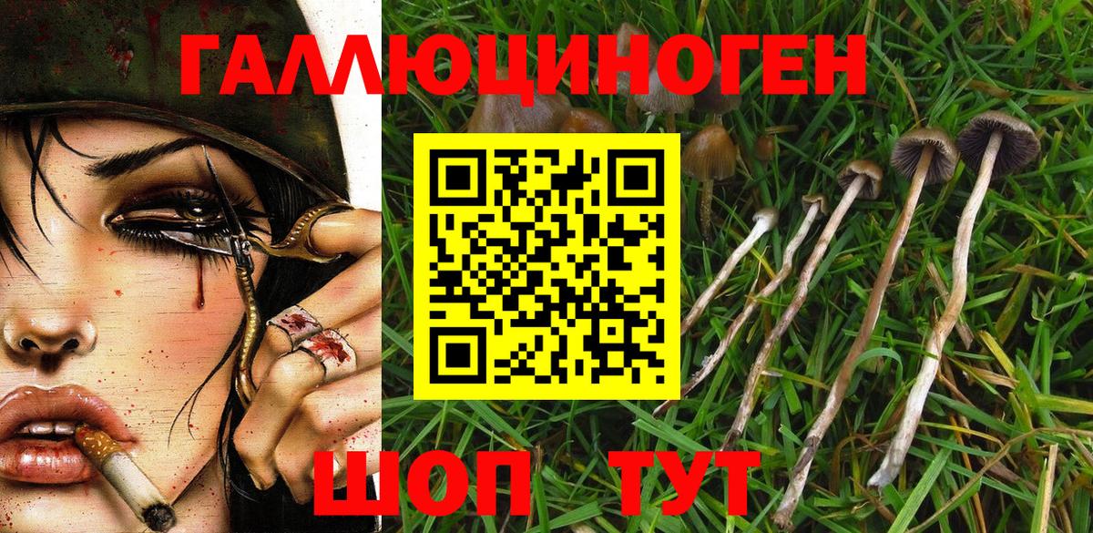 Галлюциногенные грибы Cubensis  Галлюциногенные грибы GOLDEN TEACHER  Вход с VPN  Красногорск 