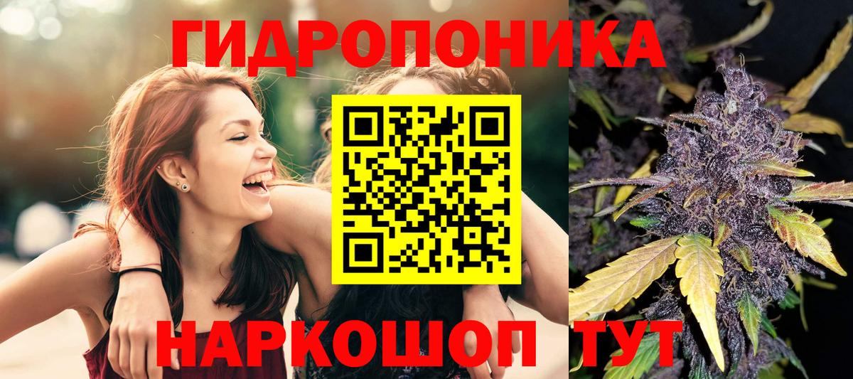 Конопля Bruce Banner  МАРИХУАНА OG Kush  Вход с VPN  Красногорск  Марихуана VHQ 